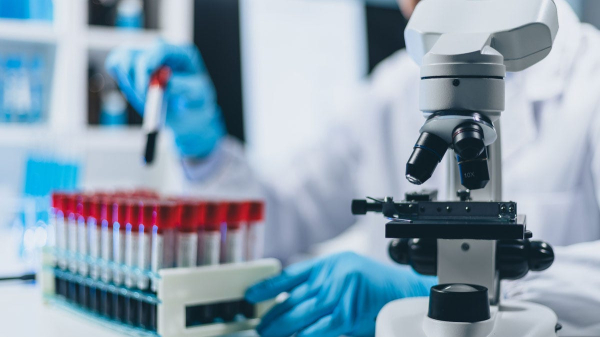 Heart failure is reversed with new gene therapy in animal study: &lsquo;Unprecedented recovery&rsquo;