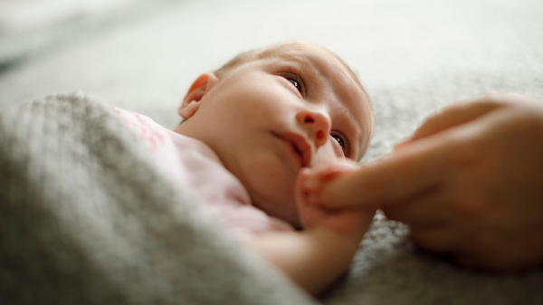 Babies born in 2025 will begin Gen Beta, a brand-new generation