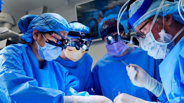 Woman receives pig kidney transplant, walks out of hospital days later: &lsquo;Second chance'