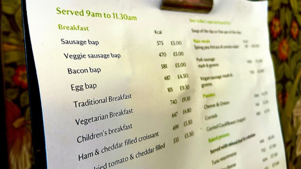 Calorie labelling could make eating disorders worse, study suggests