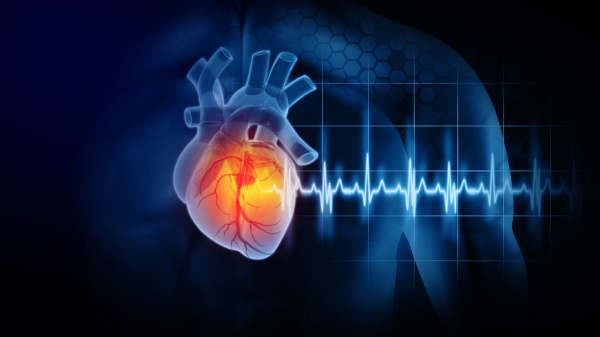 Heart failure is reversed with new gene therapy in animal study: &lsquo;Unprecedented recovery&rsquo;