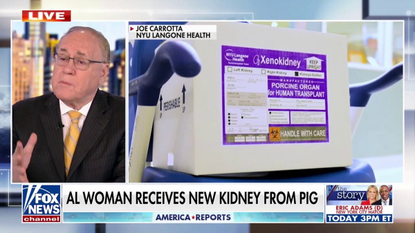 Woman receives pig kidney transplant, walks out of hospital days later: &lsquo;Second chance'