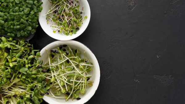 Food item loved on Instagram slated by top chef - as he shares cheap pasta recipe
