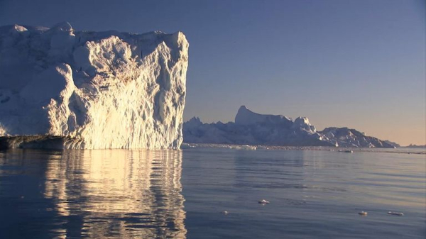 Bring back wolves to Scotland to reach net zero, says controversial research Bring back wolves to Scotland to reach net zero, says controversial research