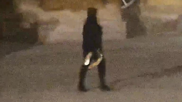 CCTV shows moment thieves roll &pound;4.75m gold toilet out of Blenheim Palace