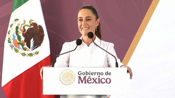 Donald Trump's tariffs: What's going on and what does it all mean?