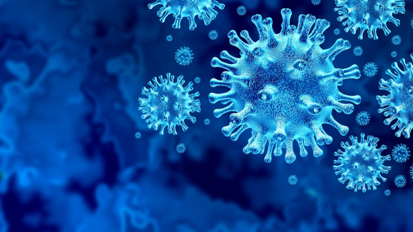 New bat coronavirus discovered in China sparks pandemic concerns