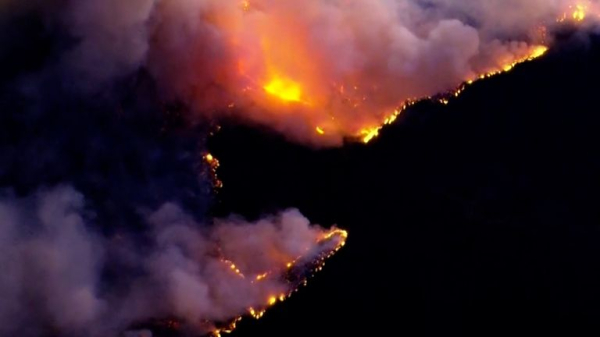 Los Angeles Eaton and Palisades wildfires, that killed 29, now 100% contained