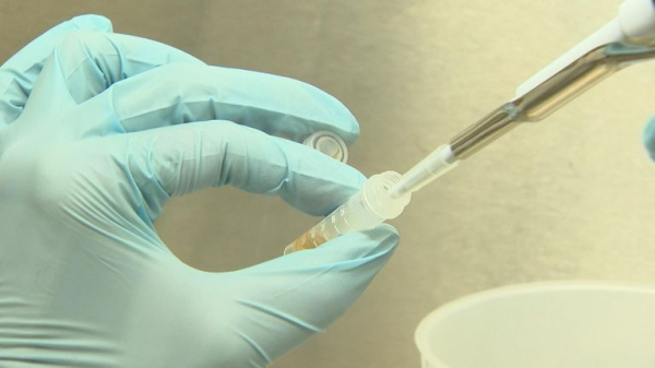 What you should know about bird flu in the UK - and its impact on humans