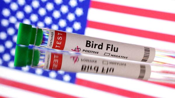 New bird flu strain detected in Nevada dairy worker, CDC says