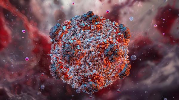 What is hantavirus, the cause of Gene Hackman&rsquo;s wife&rsquo;s death?