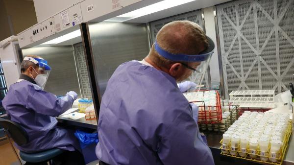 Bird flu found in Arizona dairy cattle milk after being first detected in neighboring Nevada Bird flu found in Arizona dairy cattle milk after being first detected in neighboring Nevada