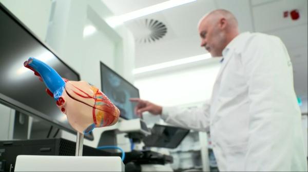 International effort seeks new treatments for pediatric heart disease