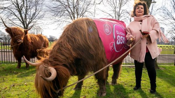 Elaine C Smith grazes cows on Glasgow Green to mark receiving city's highest honour