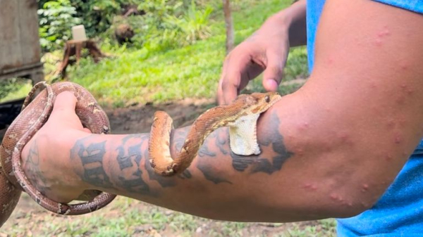 Meet TY From The Wyld - a former drill rapper turned conservation star