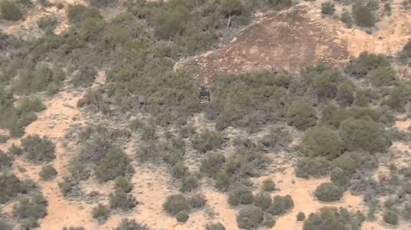 Backpacker missing in Australian Outback for almost two weeks found alive