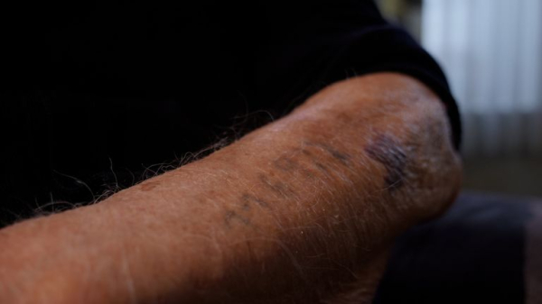 Auschwitz survivor: 'You worked until you could work no more - then you went to the chimney'