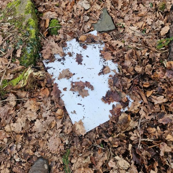 Female prankster pretending to be marshal sends Glasgow runners on 2.5km detour during race