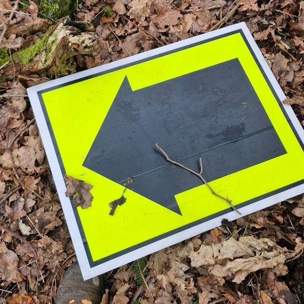 Female prankster pretending to be marshal sends Glasgow runners on 2.5km detour during race