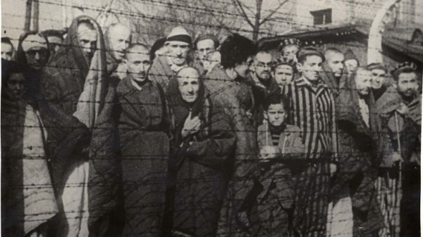 'If you lost weight, you were sent to the gas chamber': Auschwitz ordeal of 13-year-old girl separated from her family