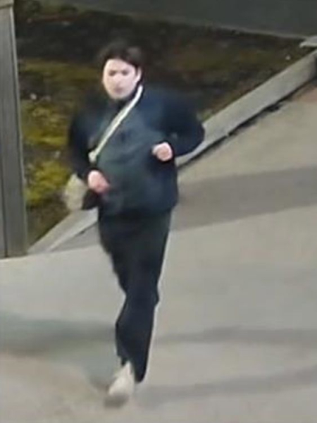 Judo Olympian Lubjana Piovesana appeals for help to find brother, saying 'next hours are critical'