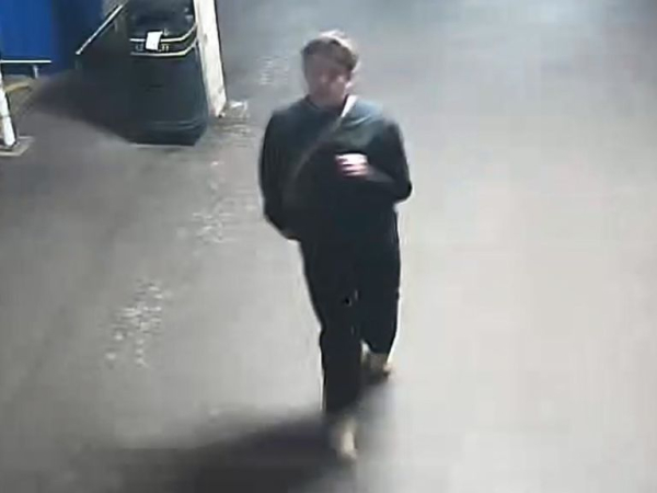 Judo Olympian Lubjana Piovesana appeals for help to find brother, saying 'next hours are critical'