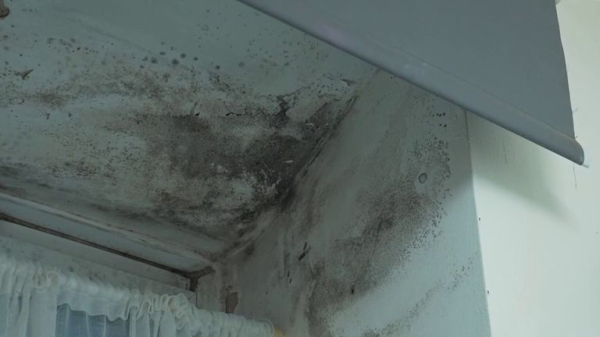 Rightmove: 'First drop' in house rent prices outside London since before the COVID pandemic